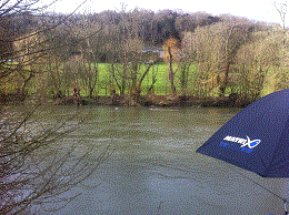 PEG 42 Pictures